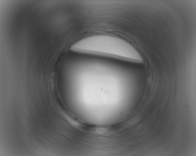 X0000083530462200702090724
