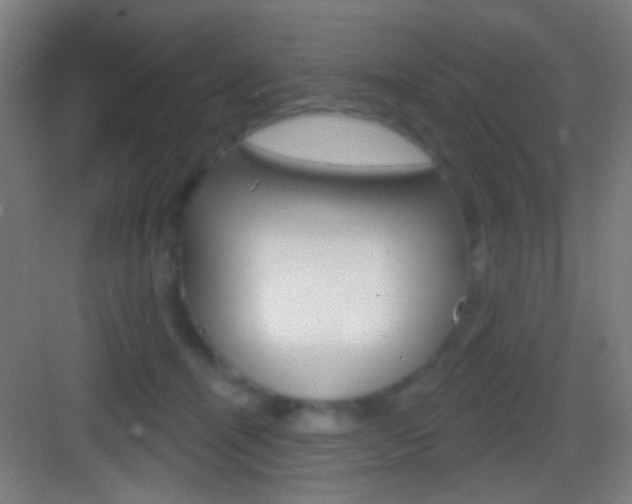 X0000083530464200702090724