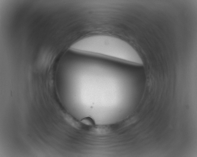 X0000083530466200702090724