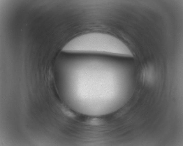 X0000083530467200702090724