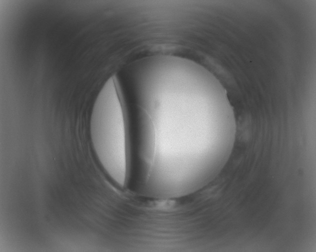 X0000083530474200702090725
