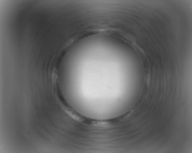 X0000083530476200702090725