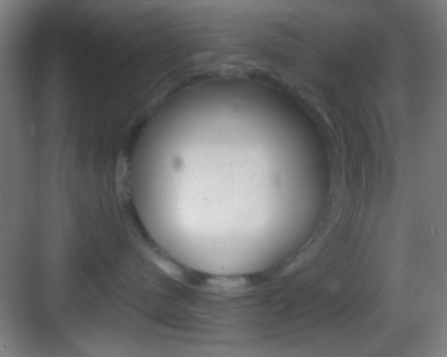 X0000083530480200702090725