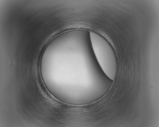X0000083530482200702090724
