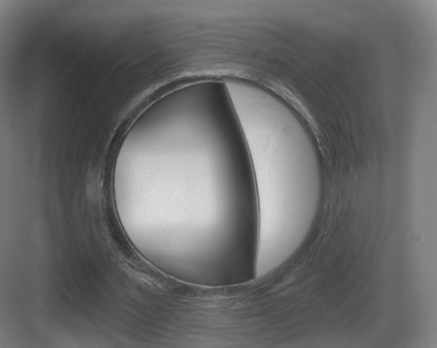 X0000083530483200702090724