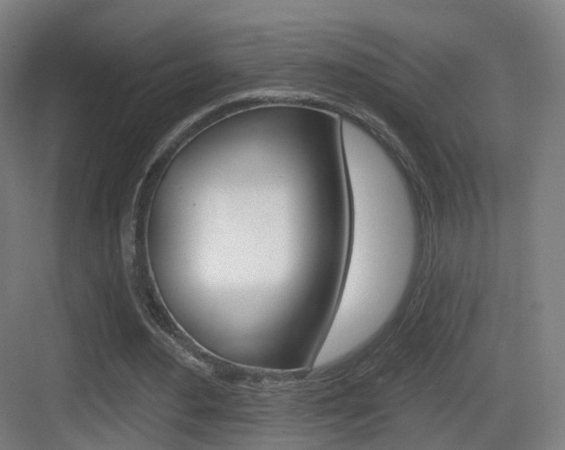 X0000083530484200702090724