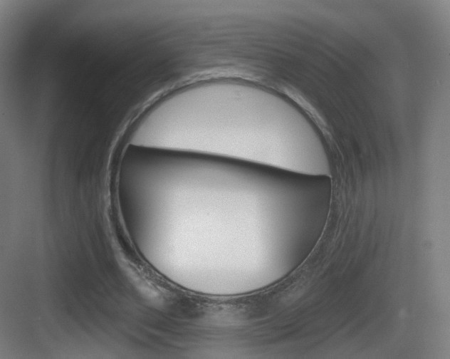 X0000083530486200702090724