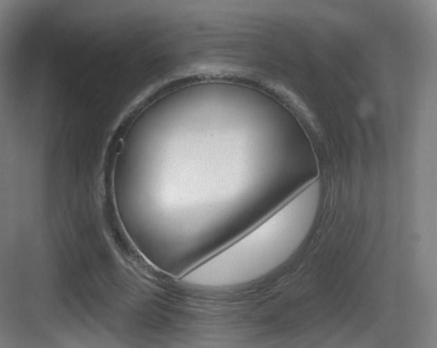 X0000083530488200702090724