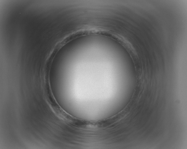 X0000083530496200702090724