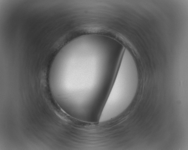 X0000083530497200702090724
