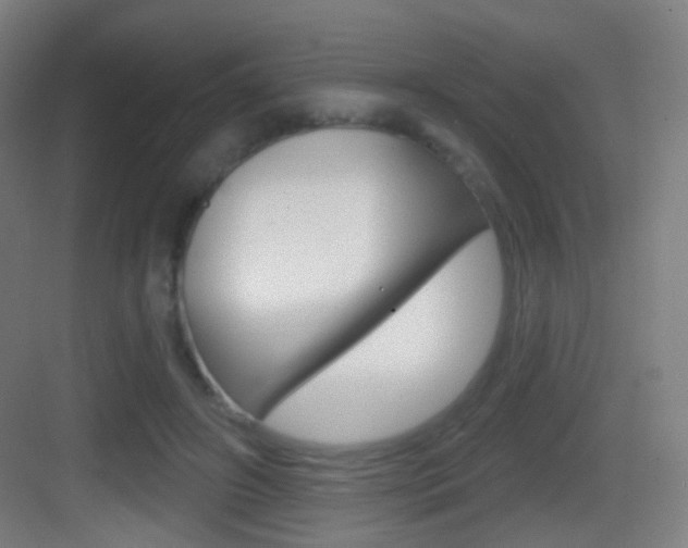 X0000083530498200702090724