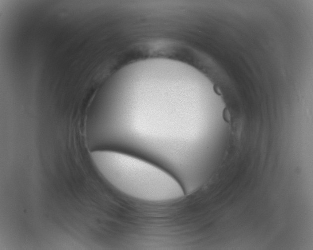 X0000083530506200702090723