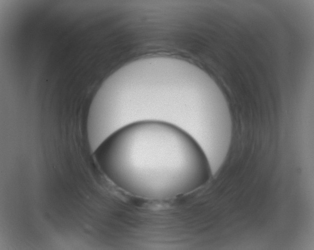 X0000083530512200702090723
