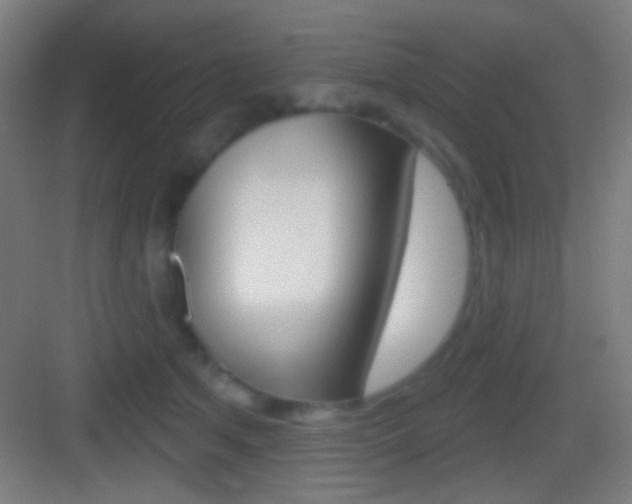 X0000083530513200702090723