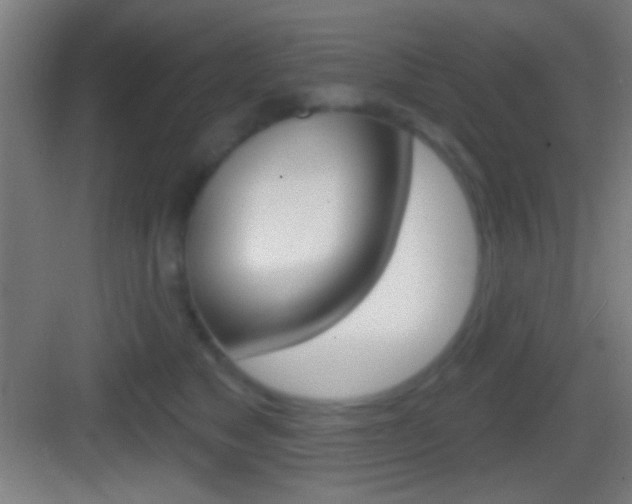 X0000083530517200702090723