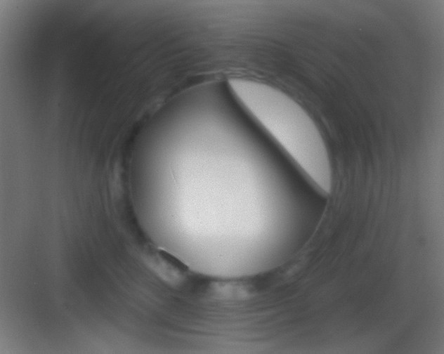 X0000083530520200702090723