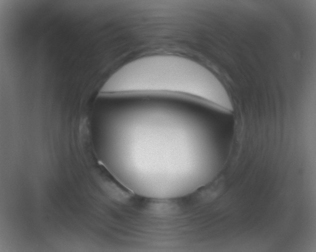 X0000083530521200702090723
