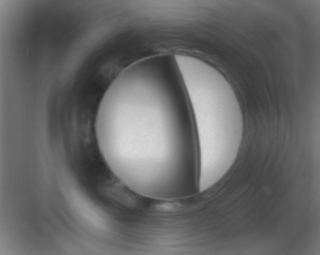 X0000083530525200702090723