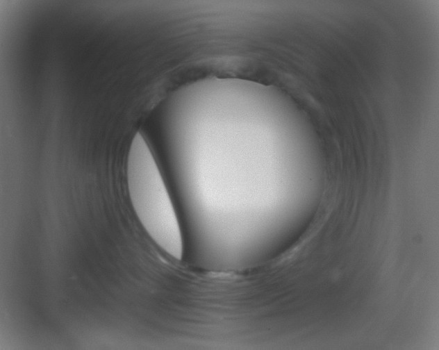 X0000083530528200702090723