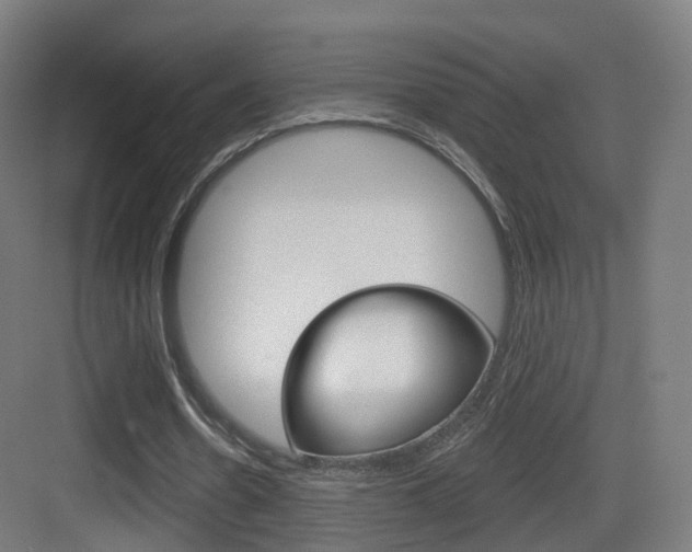 X0000083530530200702090722