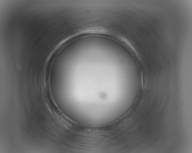 X0000083530531200702090722