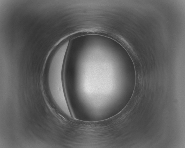 X0000083530532200702090722