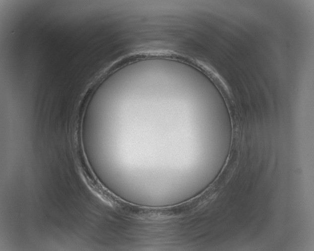 X0000083530533200702090722