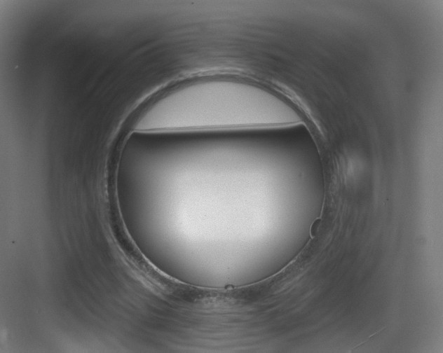 X0000083530535200702090722
