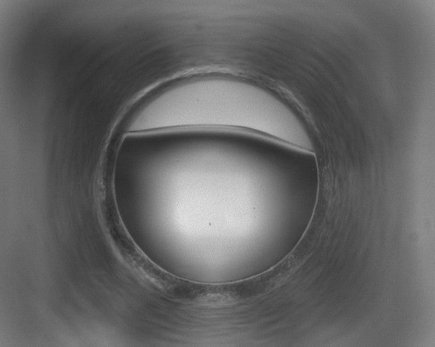 X0000083530536200702090722