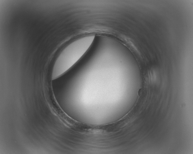 X0000083530539200702090722