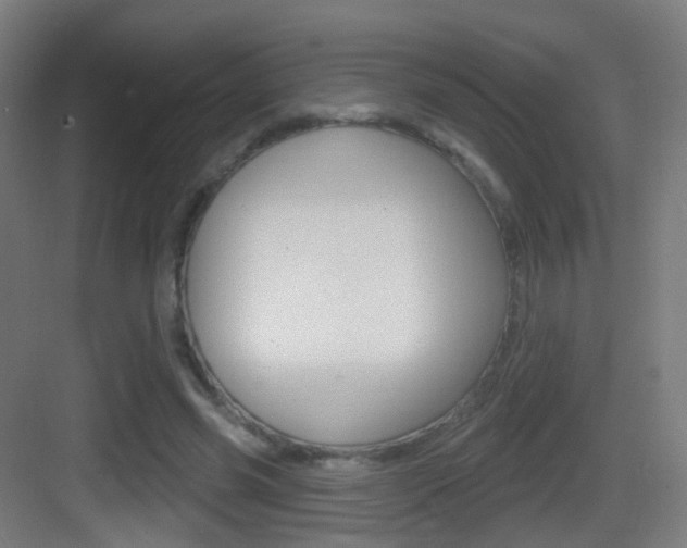 X0000083530541200702090722