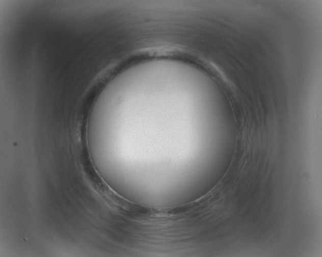X0000083530543200702090722