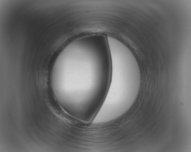 X0000083530544200702090722