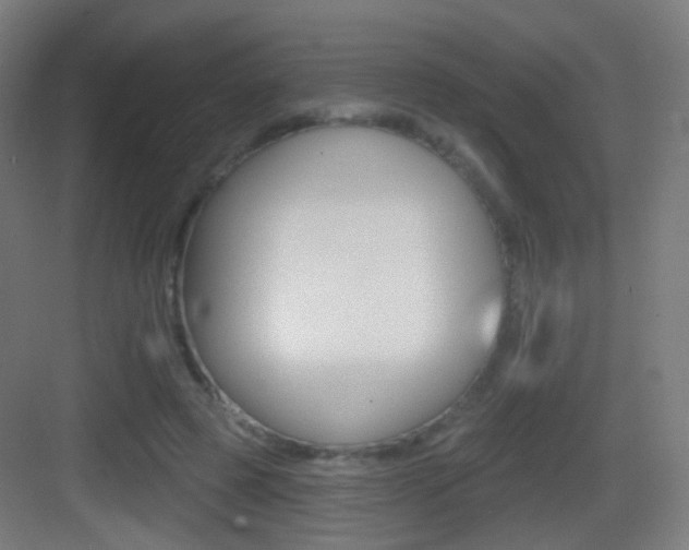 X0000083530545200702090722