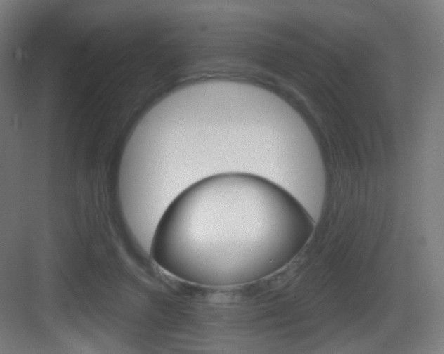 X0000083530546200702090723