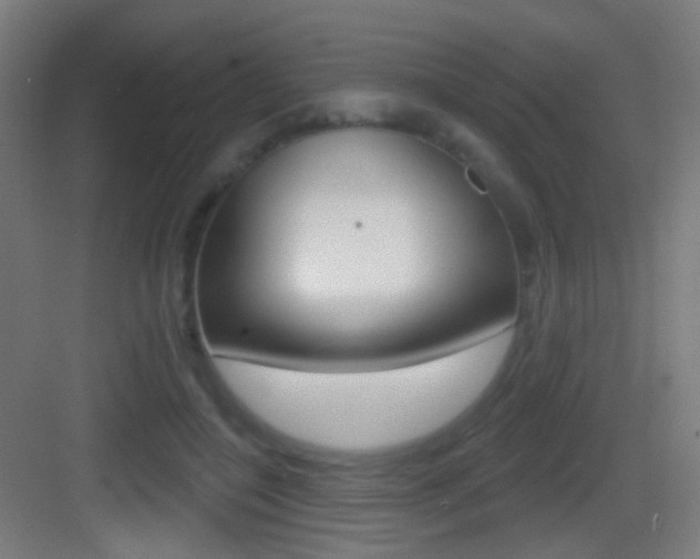 X0000083530548200702090723