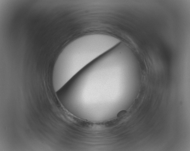 X0000083530549200702090723