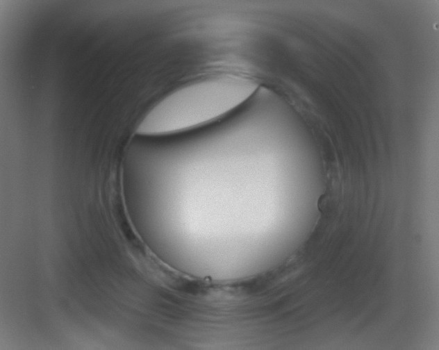X0000083530550200702090723