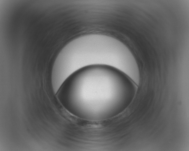 X0000083530552200702090723