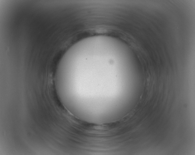 X0000083530555200702090723