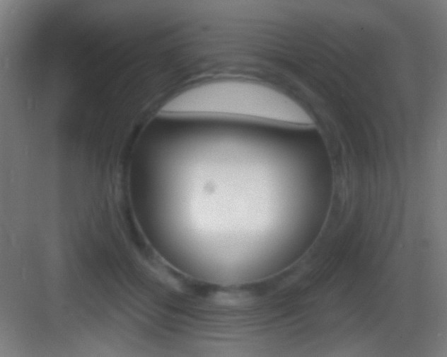 X0000083530556200702090723