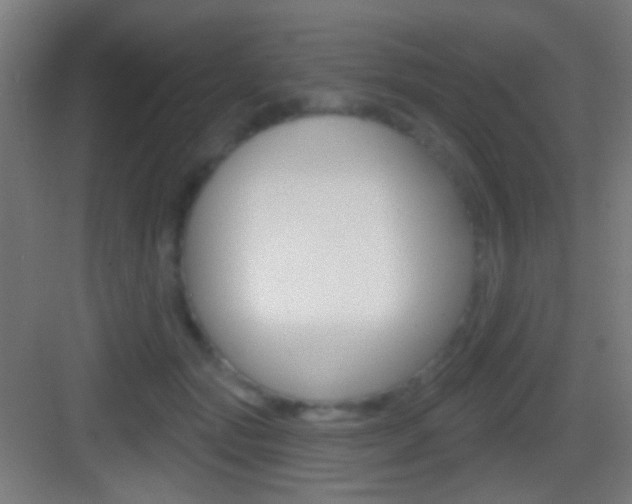 X0000083530557200702090723