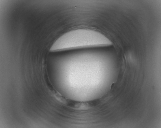 X0000083530559200702090723