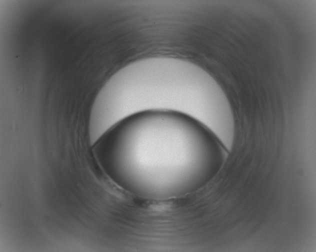 X0000083530560200702090723