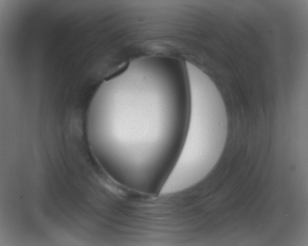 X0000083530562200702090723