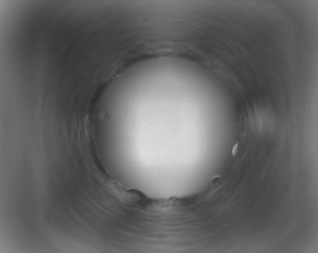 X0000083530563200702090723