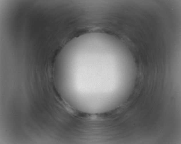 X0000083530565200702090723