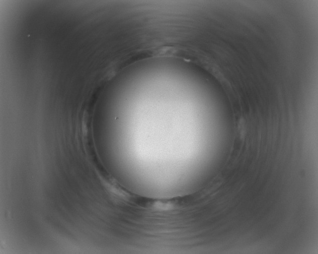X0000083530570200702090723