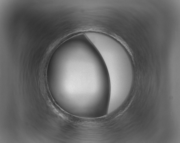 X0000083530577200702090722