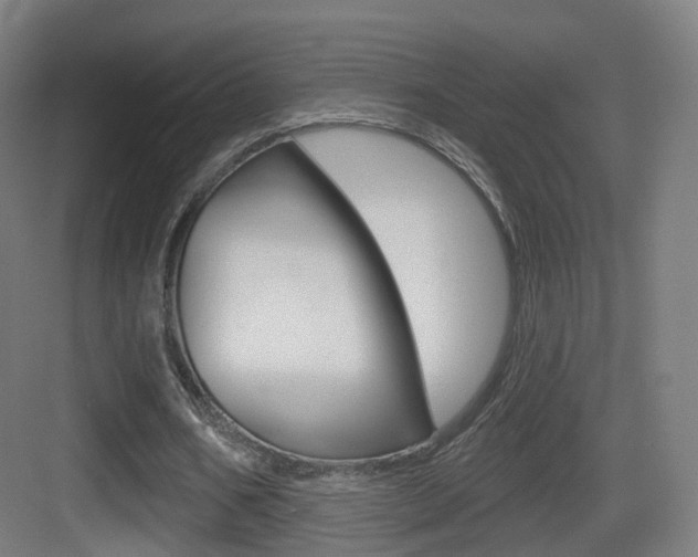 X0000083530578200702090722